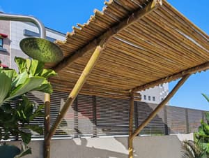 הצללות מיוחדות