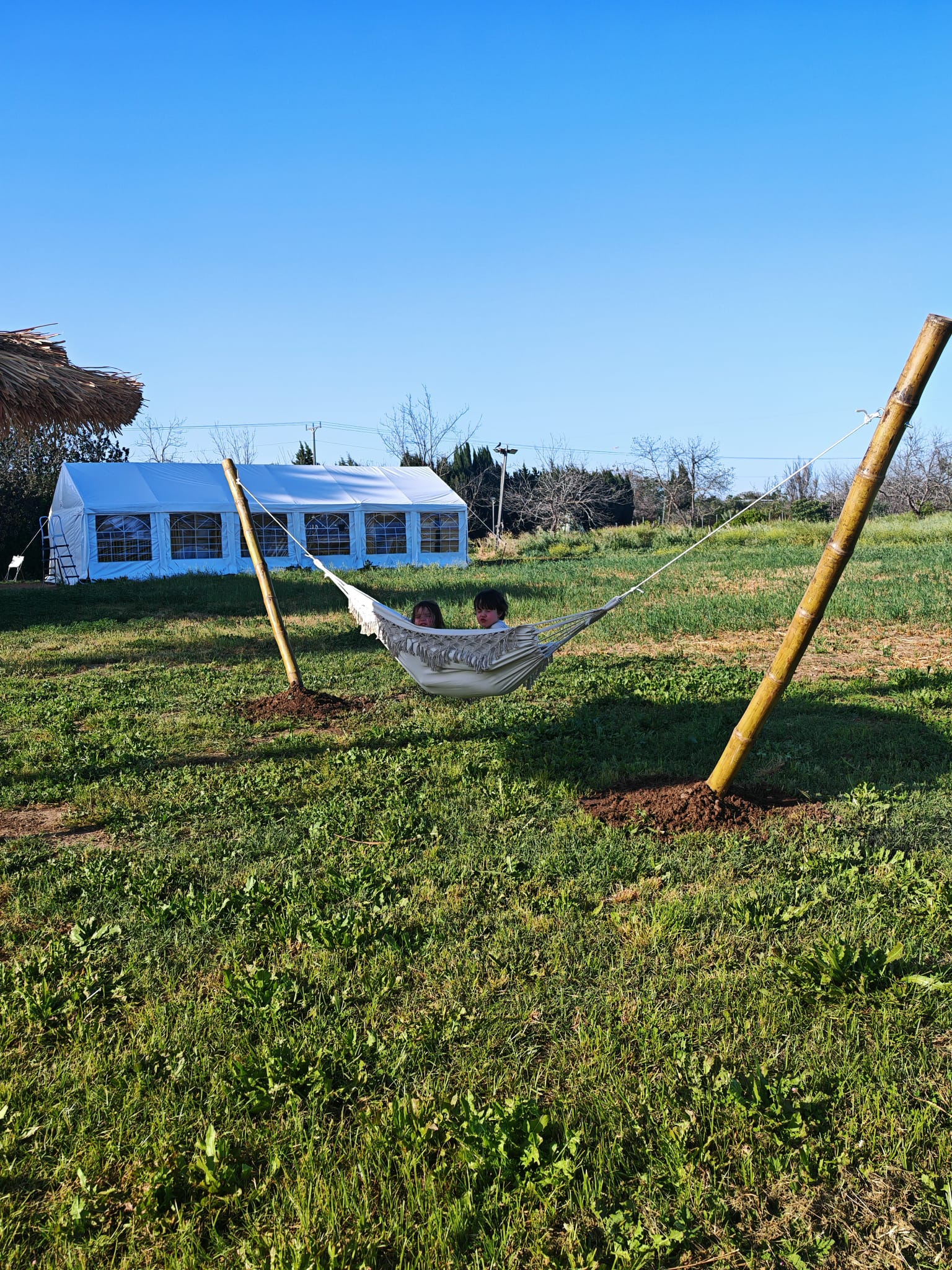 🏝️ פרויקט יוקרתי מבמבוק! חיים בריאים לסביבה וטובים לנפש 🌴 #נופש_ירוק #בית_חלומות